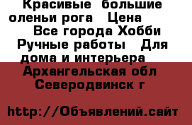 Красивые  большие оленьи рога › Цена ­ 3 000 - Все города Хобби. Ручные работы » Для дома и интерьера   . Архангельская обл.,Северодвинск г.